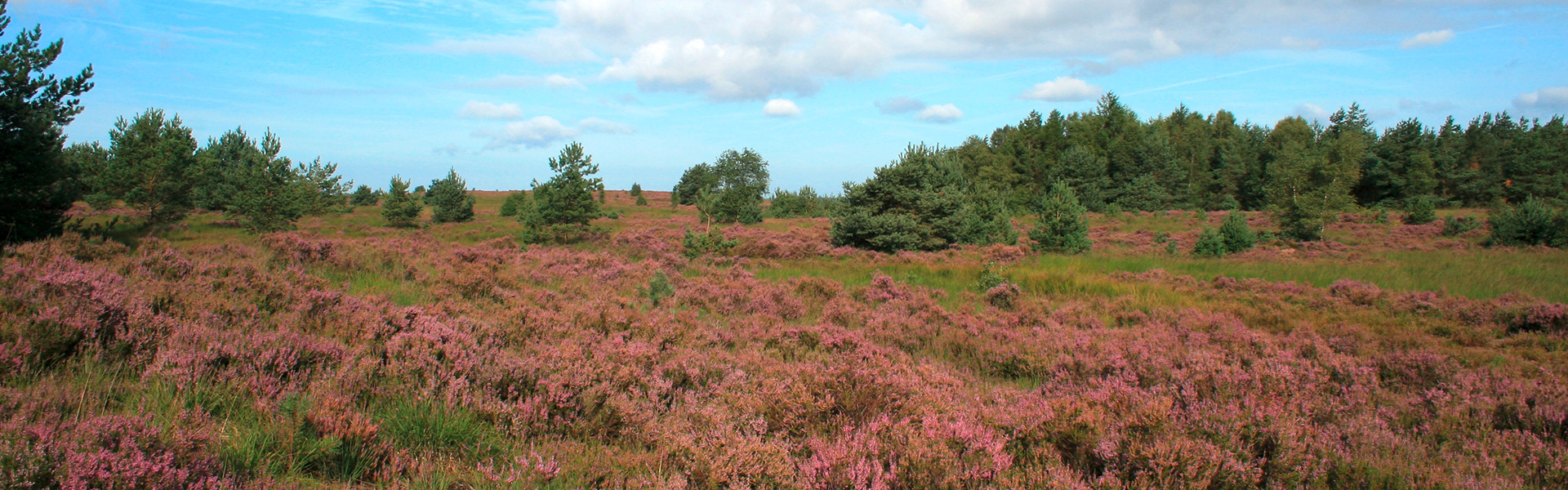 Naturschutzzentrum Kreis Coesfeld