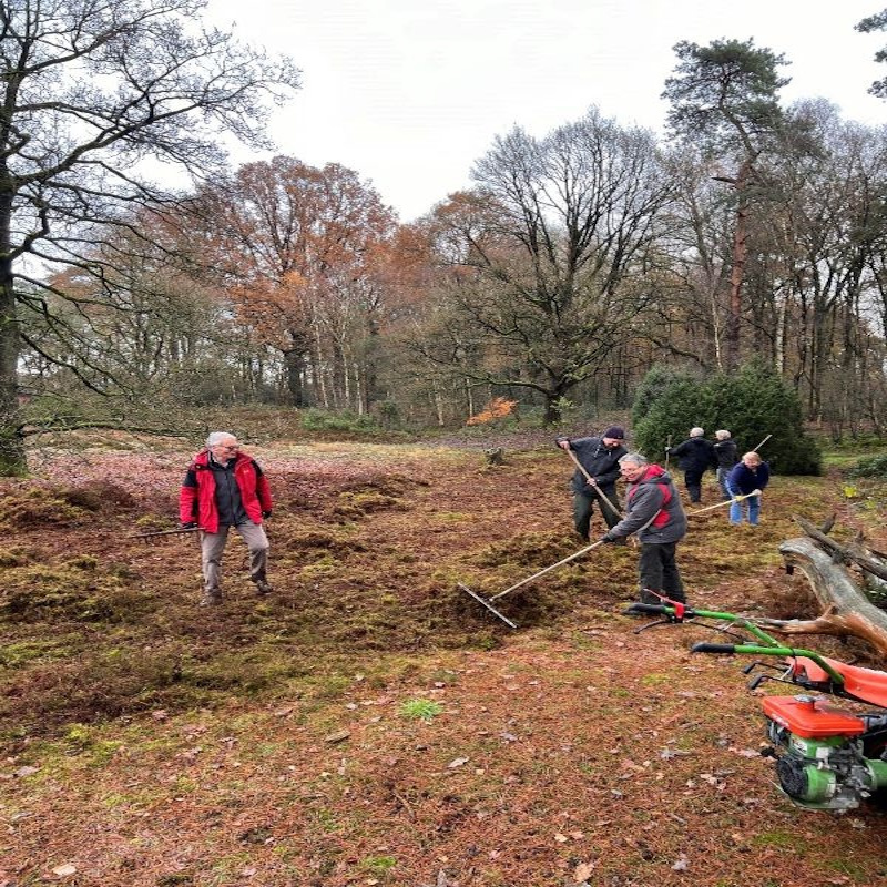 Letter Heide Letter Heide