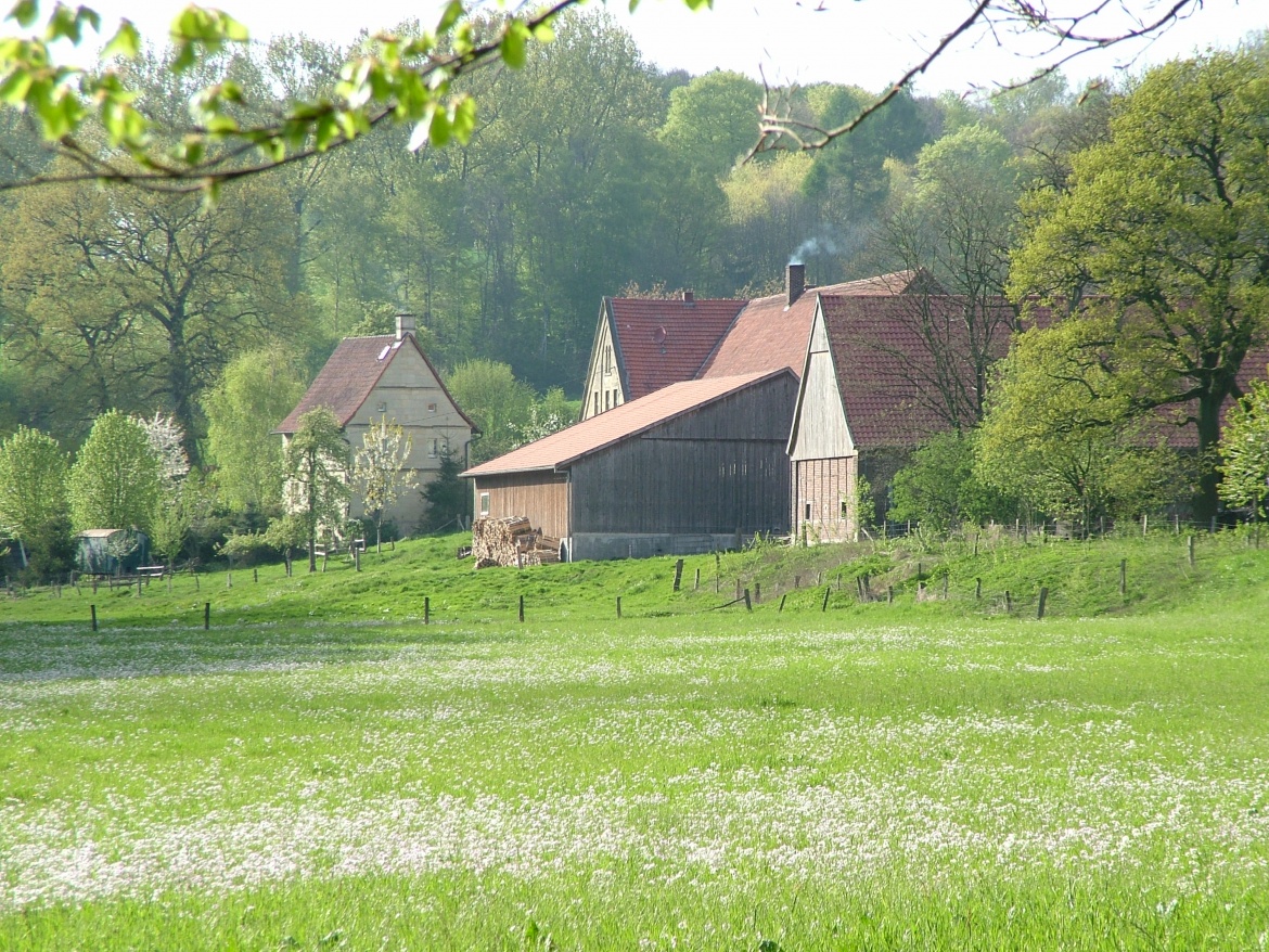Stevertal in den Baumbergen, Foto: Birgit Stephan. Stevertal in den Baumbergen, Foto: Birgit Stephan.